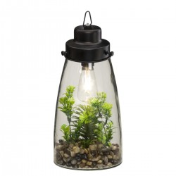 Terrarium lumineux