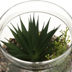 Terrarium bois 