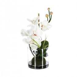 Composition florale d'orchidées - 2 coloris