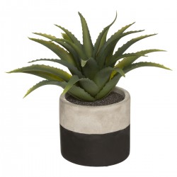 Plante et son pot en ciment bicolore - 3 coloris