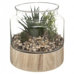 Plante terrarium et son socle de bois