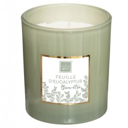 Bougie parfumée Eucalyptus Maël 190gr