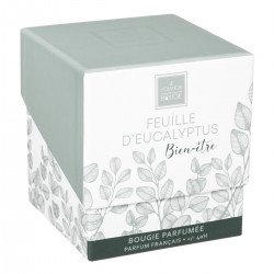 Bougie parfumée Eucalyptus Maël 190gr